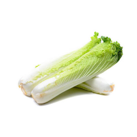 长白菜